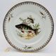 6 Limoges porcelain plates, fish pattern.