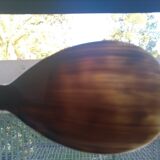 Rice spoon covered with serving in Asian handicraft horn