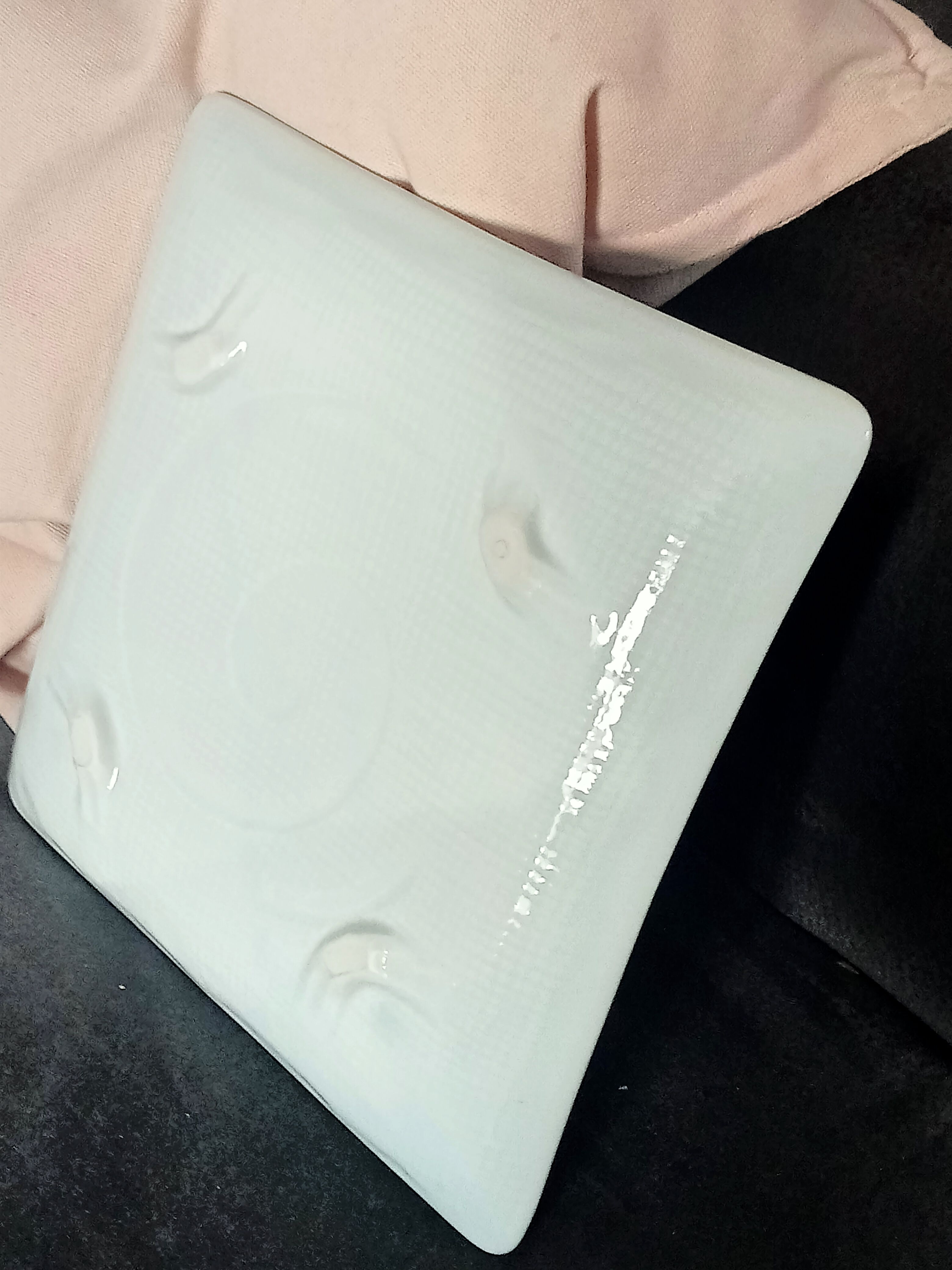 Japanese sushi plates