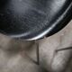 Chair Series 7 by Arne Jacobsen for Fritz Hansen