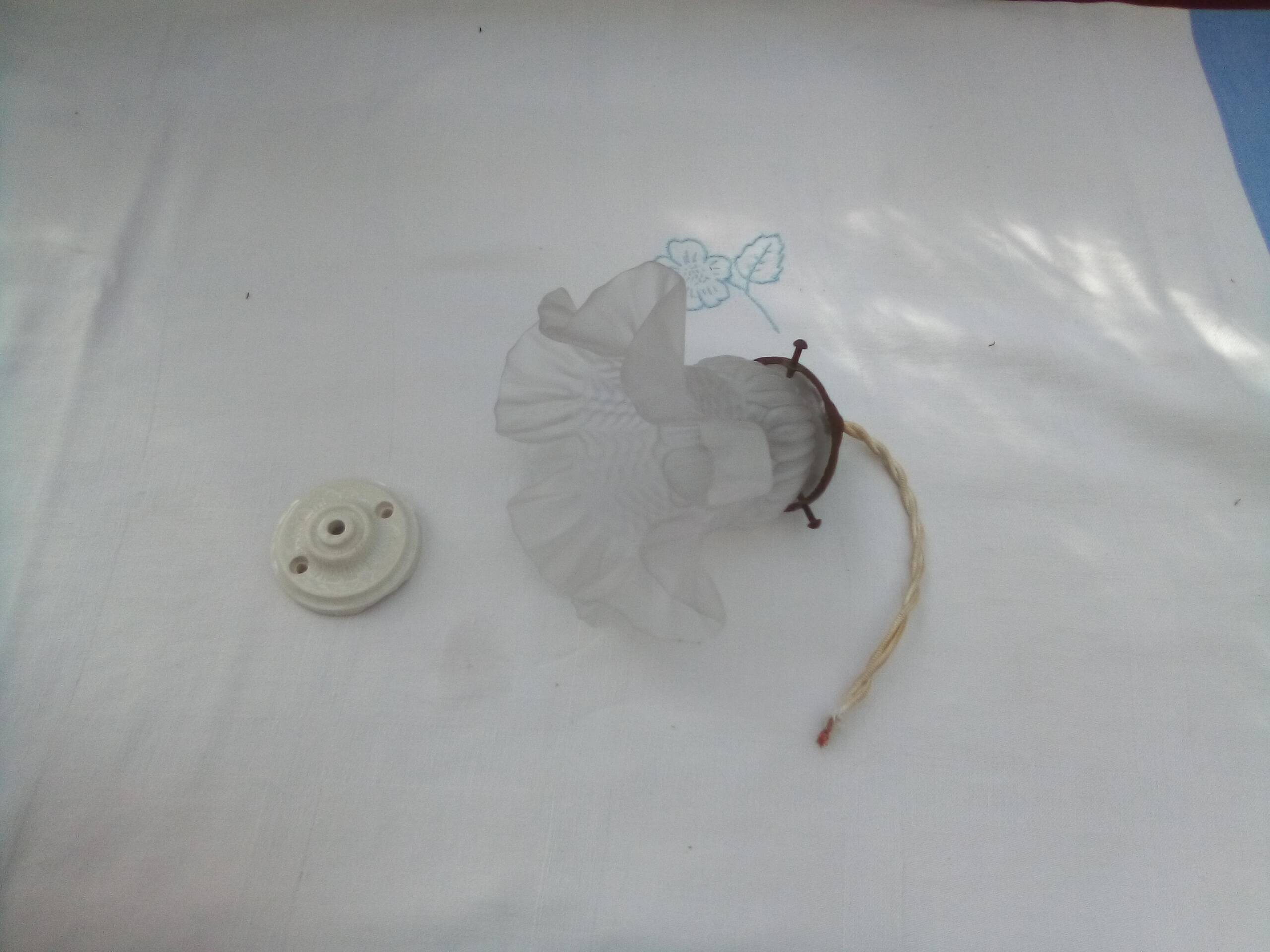 Glass tulip pendant light
