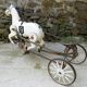 Soviet USSR childs pedal horse car antique vintage childs toy treasure 1950