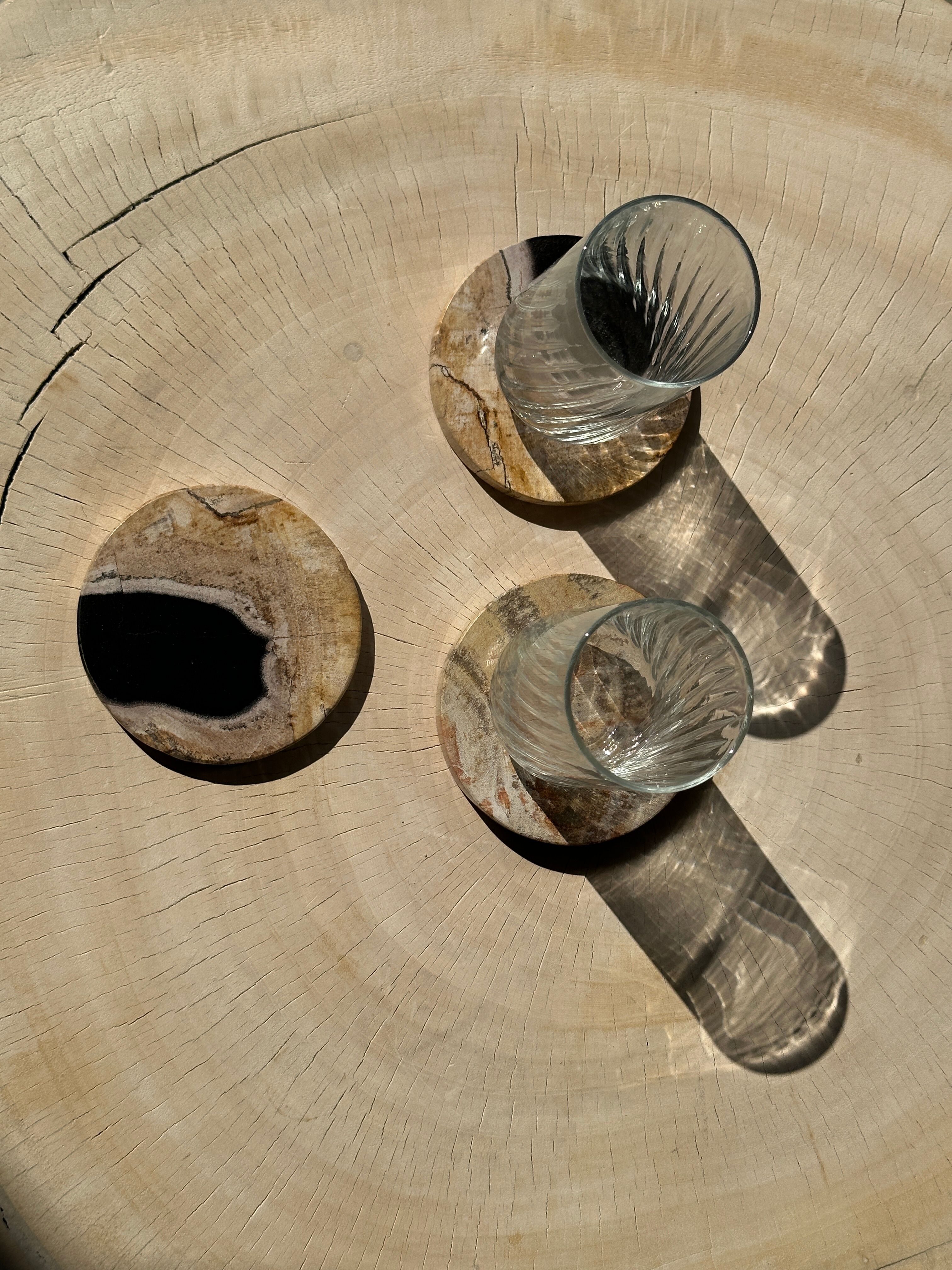 Set of 3 fossilized wooden coasters (clear)