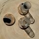 Set of 3 fossilized wooden coasters (clear)