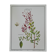 Henna, printed illustration from 1986. Vintage Botany. 24X31cm