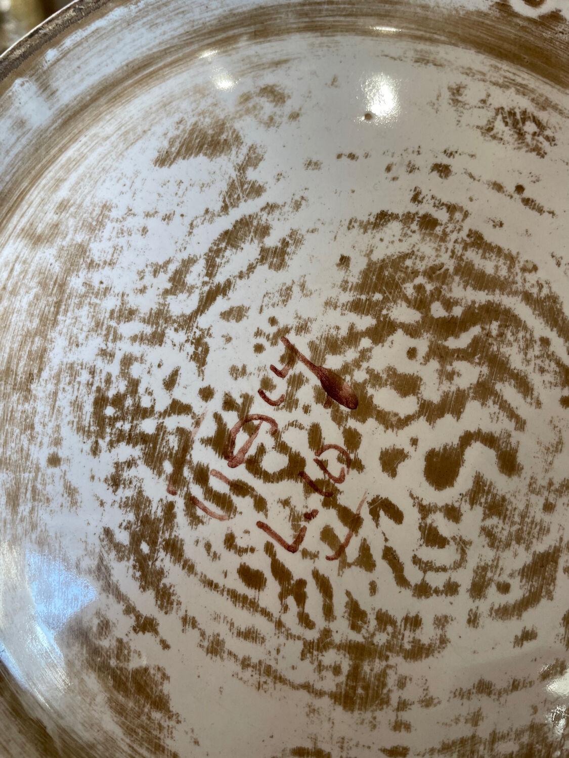 Great Mediterranean pitcher