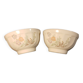 Duo of ceramic bowls