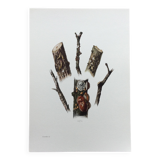 Antique illustration "insects", Vintage print, Cochineal, 1960s