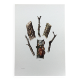 Illustration ancienne "insectes", Impression vintage, Cochenille, années 60