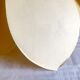 Suspension flower petals