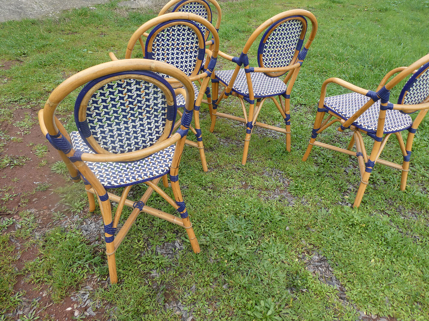 Lot de 5 fauteuils bistrot de terrasse type "parisienne" blanc et bleu