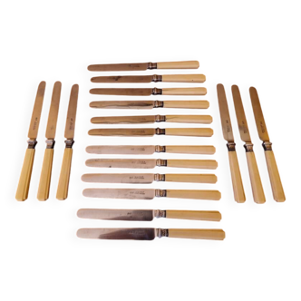 François Charles Gavet (1753-1840), cutler to the King - Series of 18 fruit knives - late 18th century