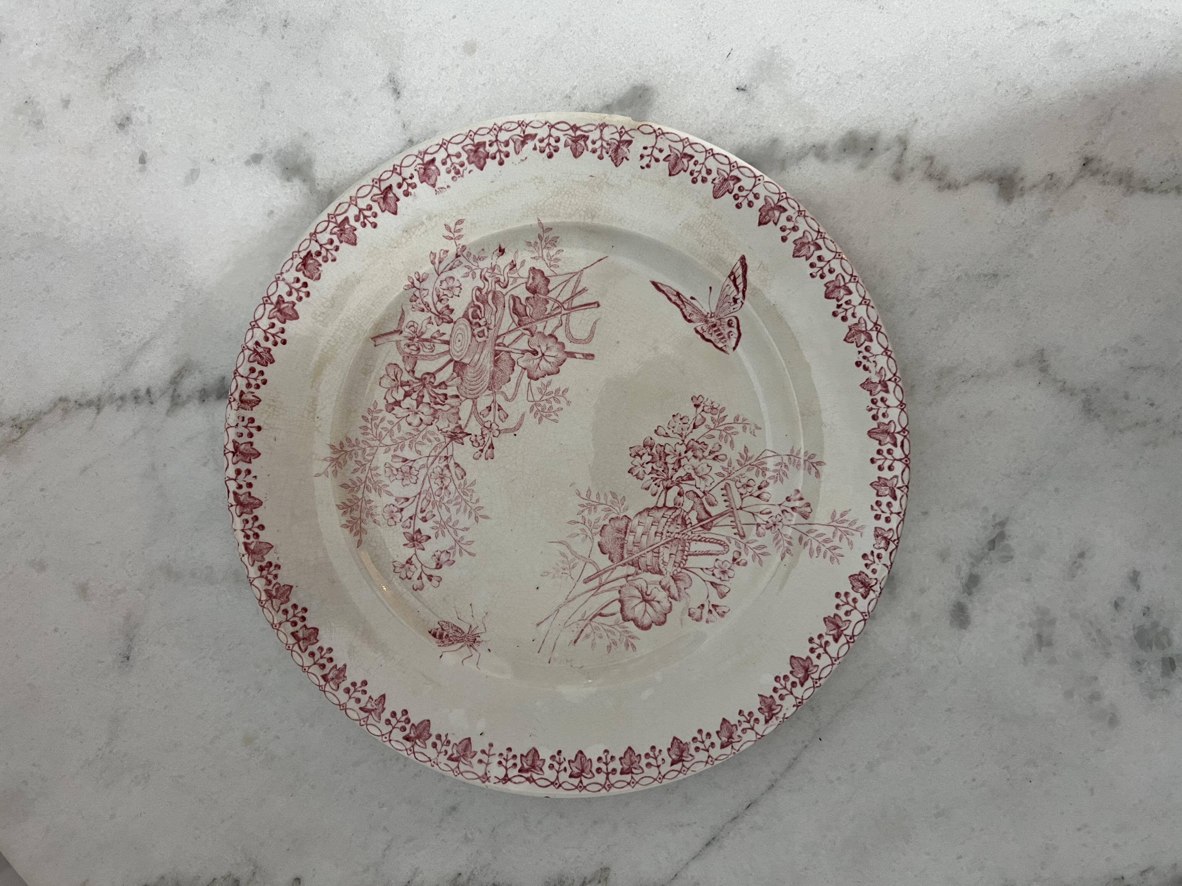Lot 4 flat plates Terre de Fer (state of use)