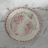 Lot 4 flat plates Terre de Fer (state of use)