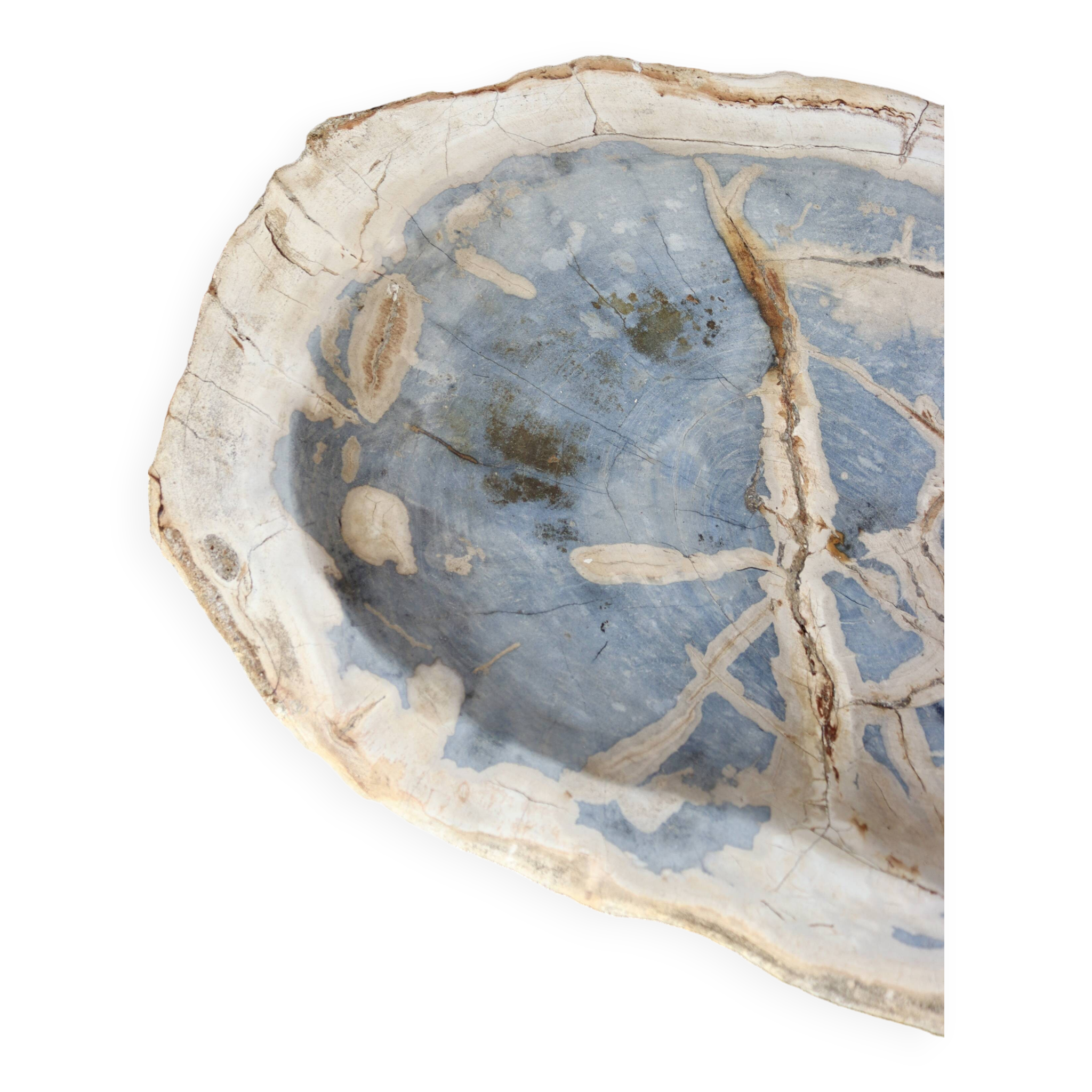 Petrified wood cup