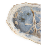 Coupe en bois pétrifié