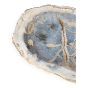 Petrified wood cup