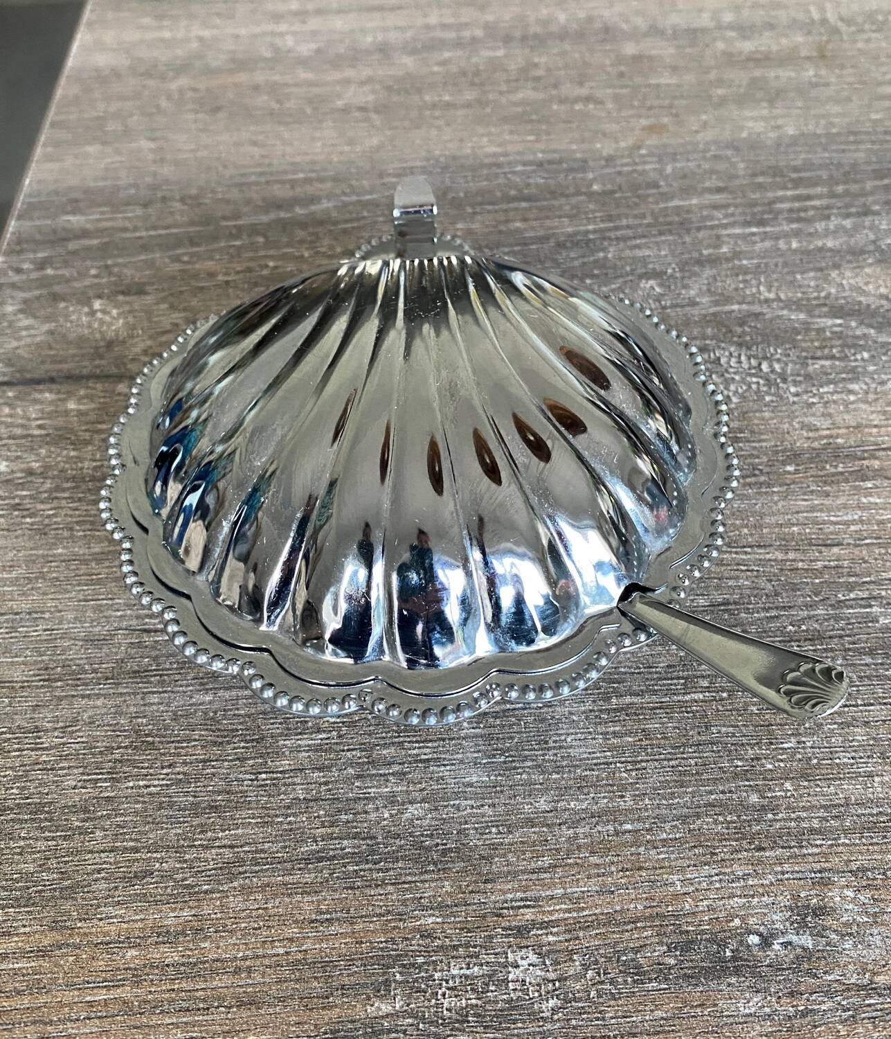 Stainless steel shell butter dish