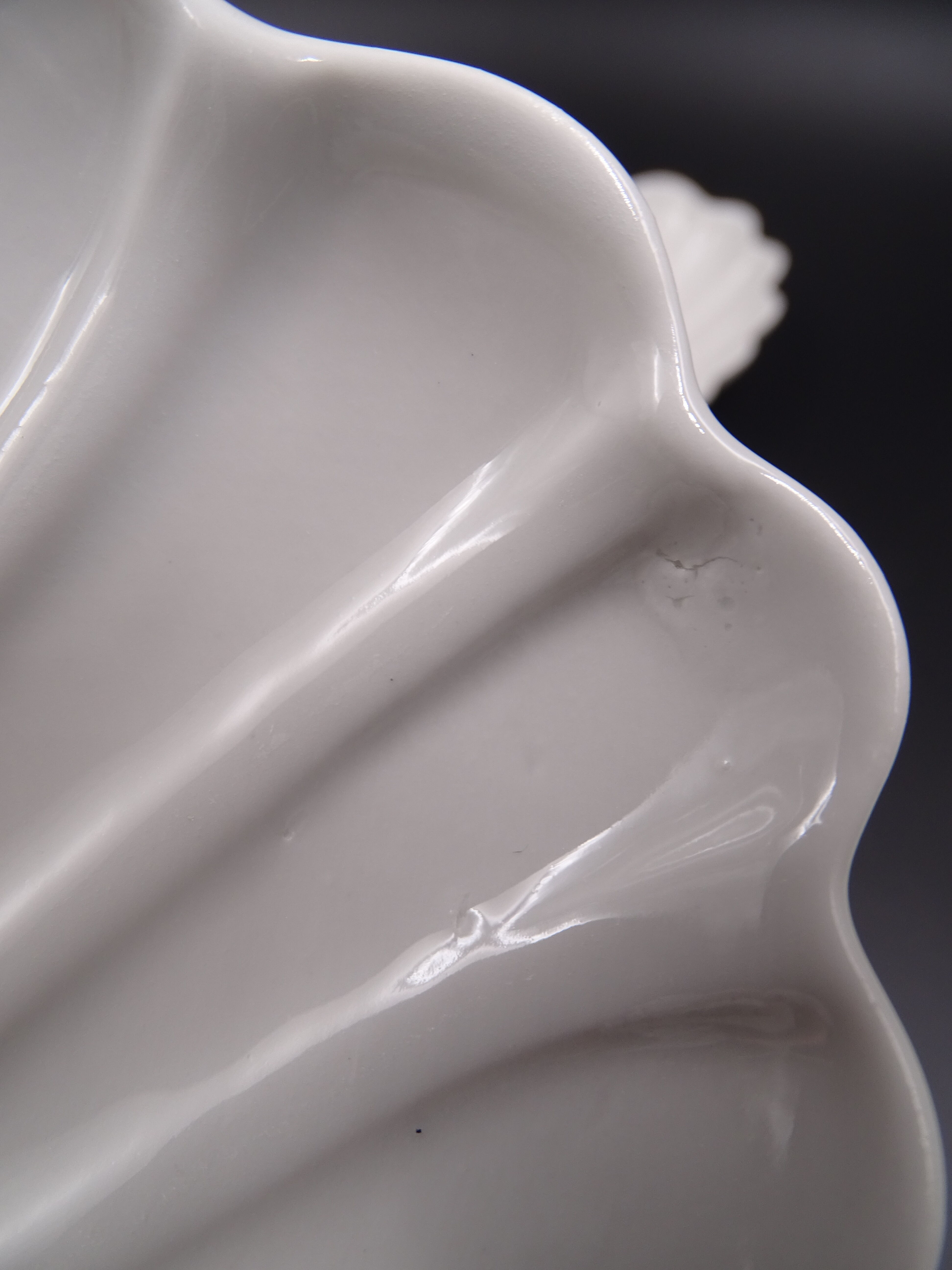 Set of 7 cups in white porcelain and in the shape of a shell - Pillivuyt around 1940