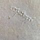 Signed ceramic teapot