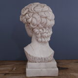 David Plaster Bust