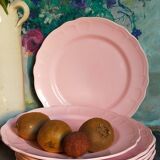 Seven ceramic plates of vintage salins