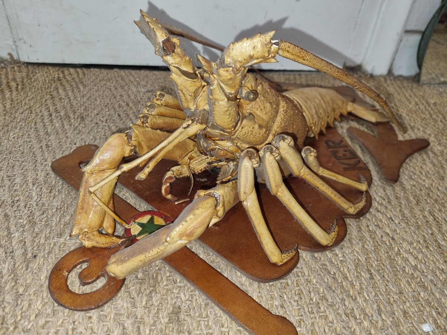 Naturalized lobster of the mid-twentieth century