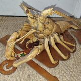 Naturalized lobster of the mid-twentieth century