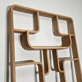 Room Divider by Ludvik Volak for Drevopodnik Holesov, 1950s