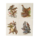 Lot de 4 lithographies naturalistes Oiseaux 17,5 x 21,5cm
