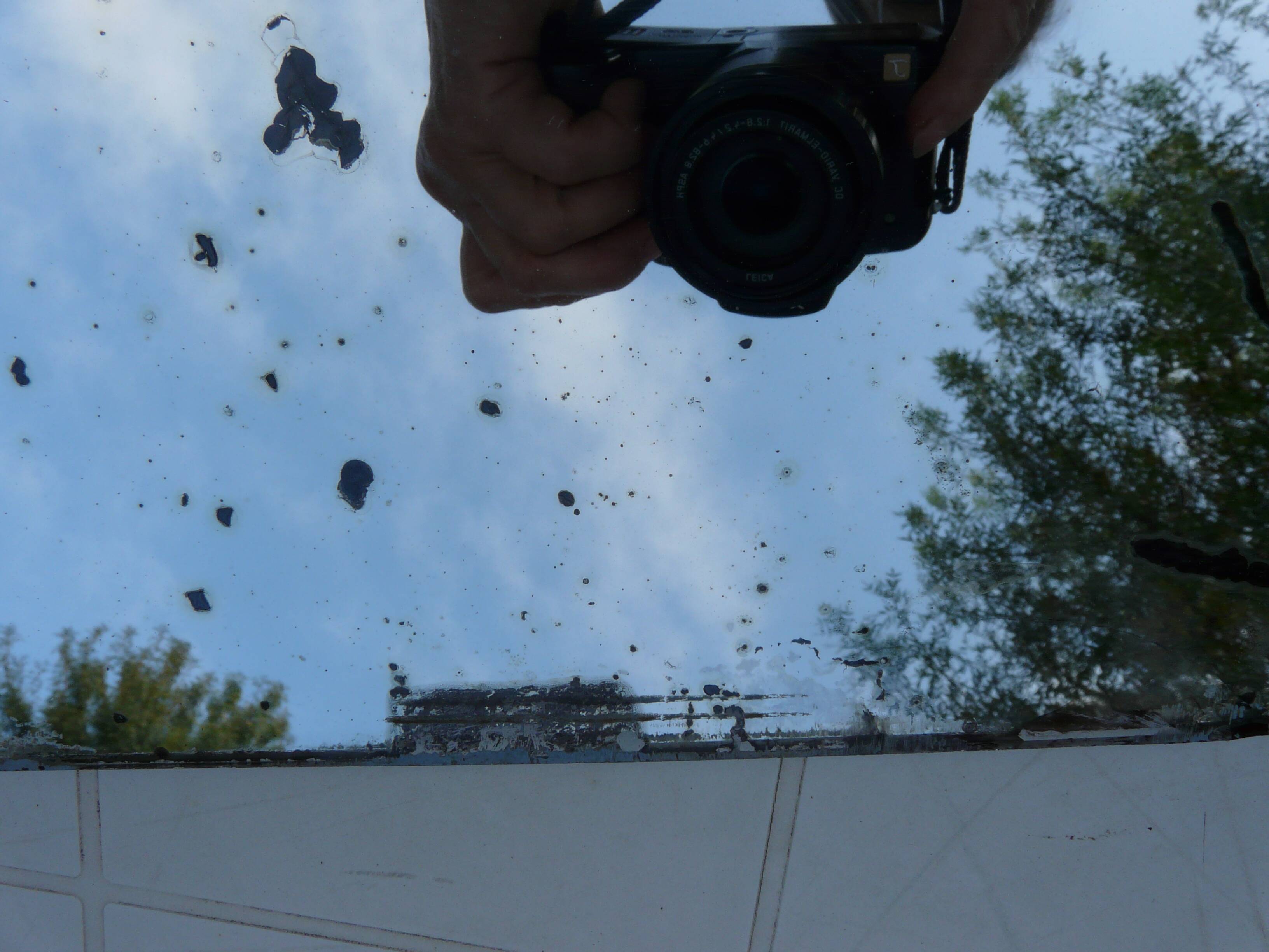 Beveled mirror with art-deco wrought iron frame and floral decor with hanging chain