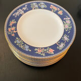 Wedgwood Blue Siam plate