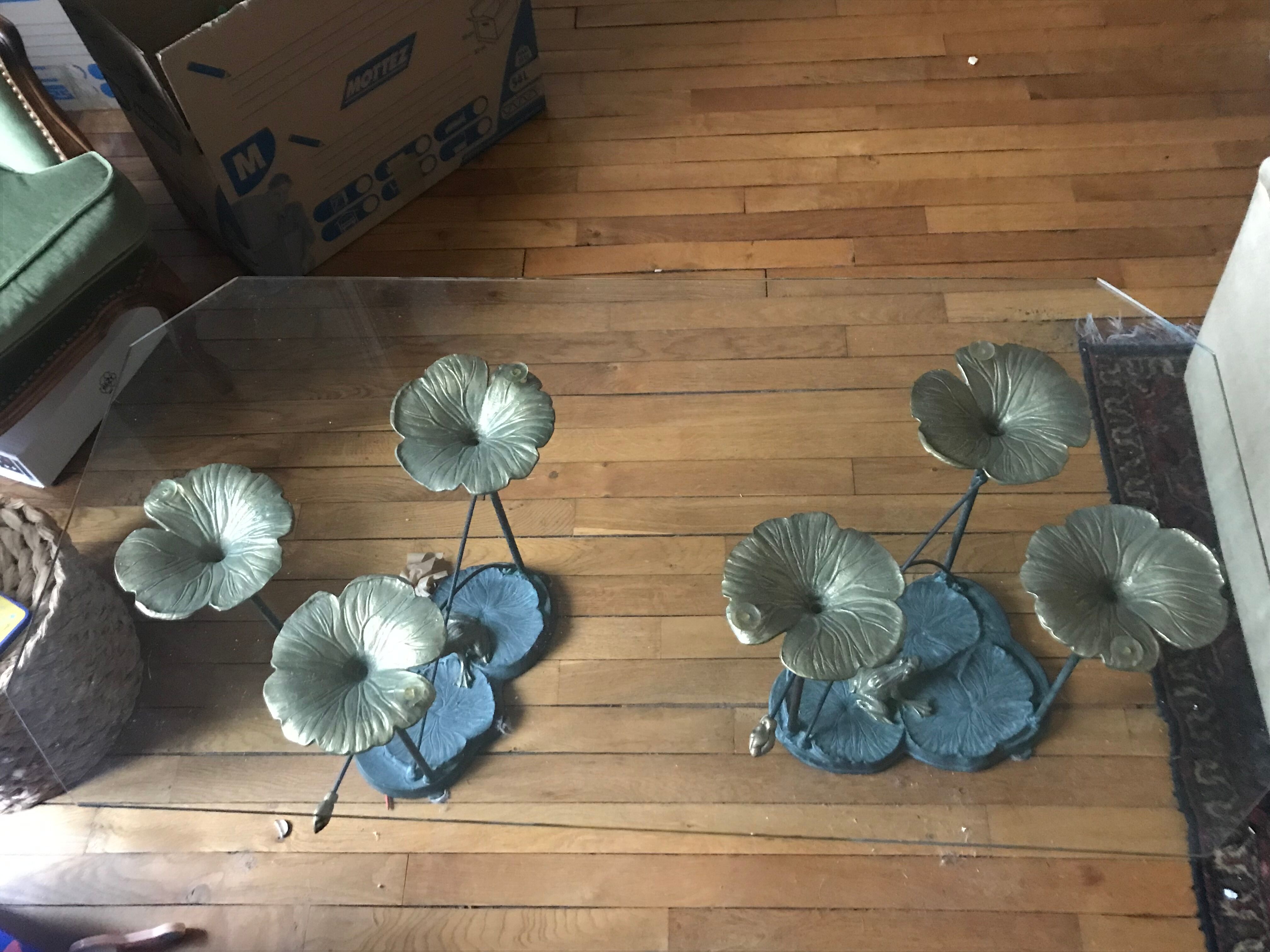 Glass and forged metal coffee table, frog and neuphar décor