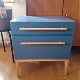 Blue sixties cabinet and monstera leaves