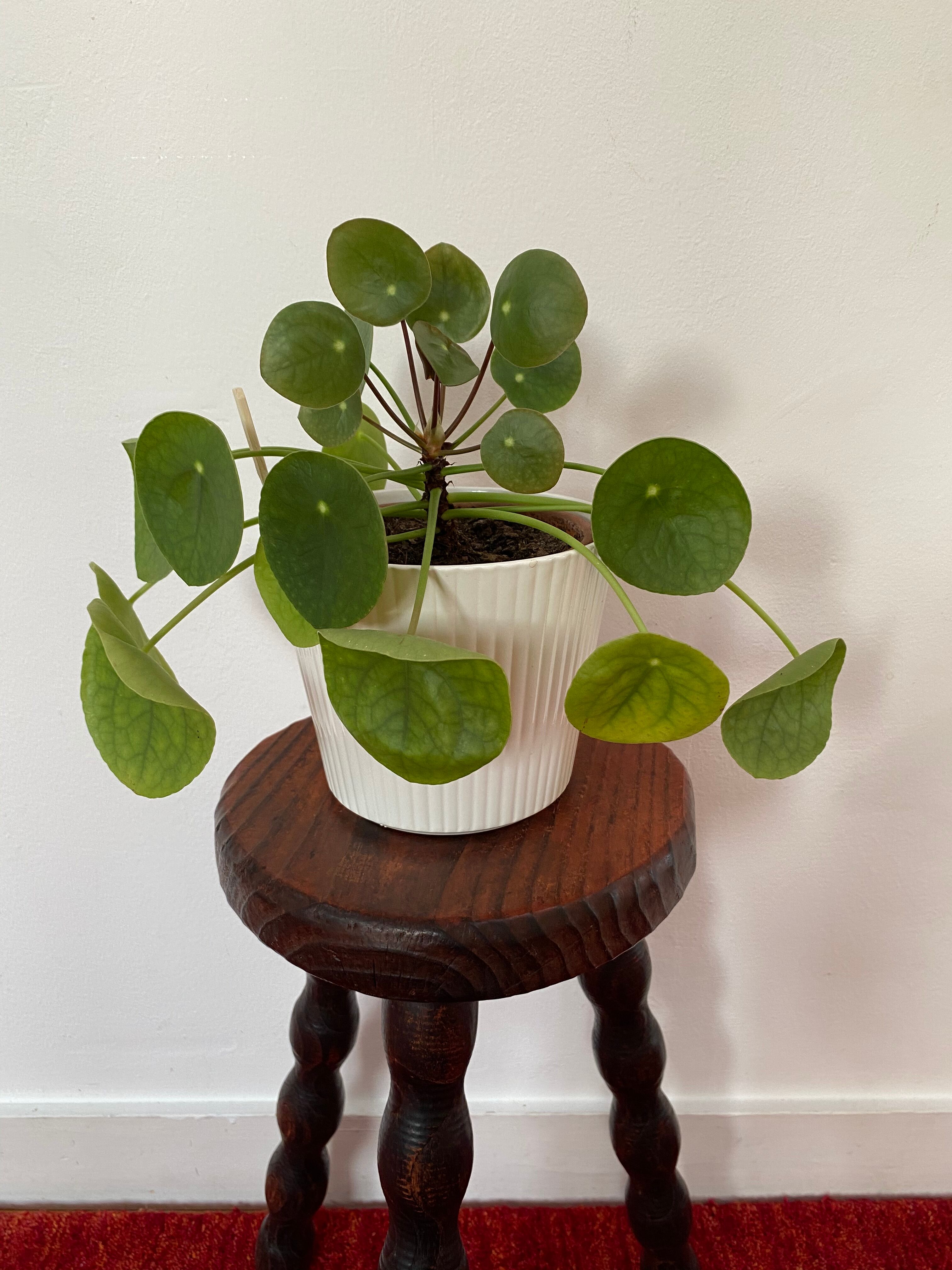 Old tripod stool in solid wood