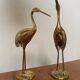 Herons laiton