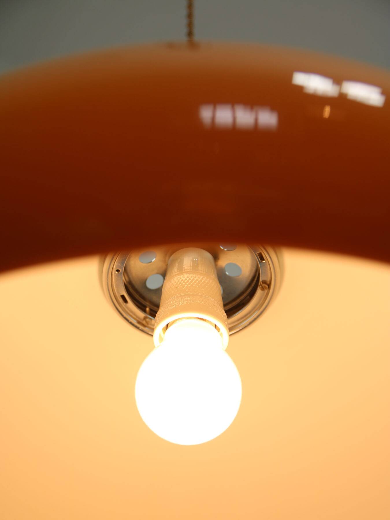Mid-Century Modern Cabras Lamp by Luigi Massoni for Guzzini, 1960s