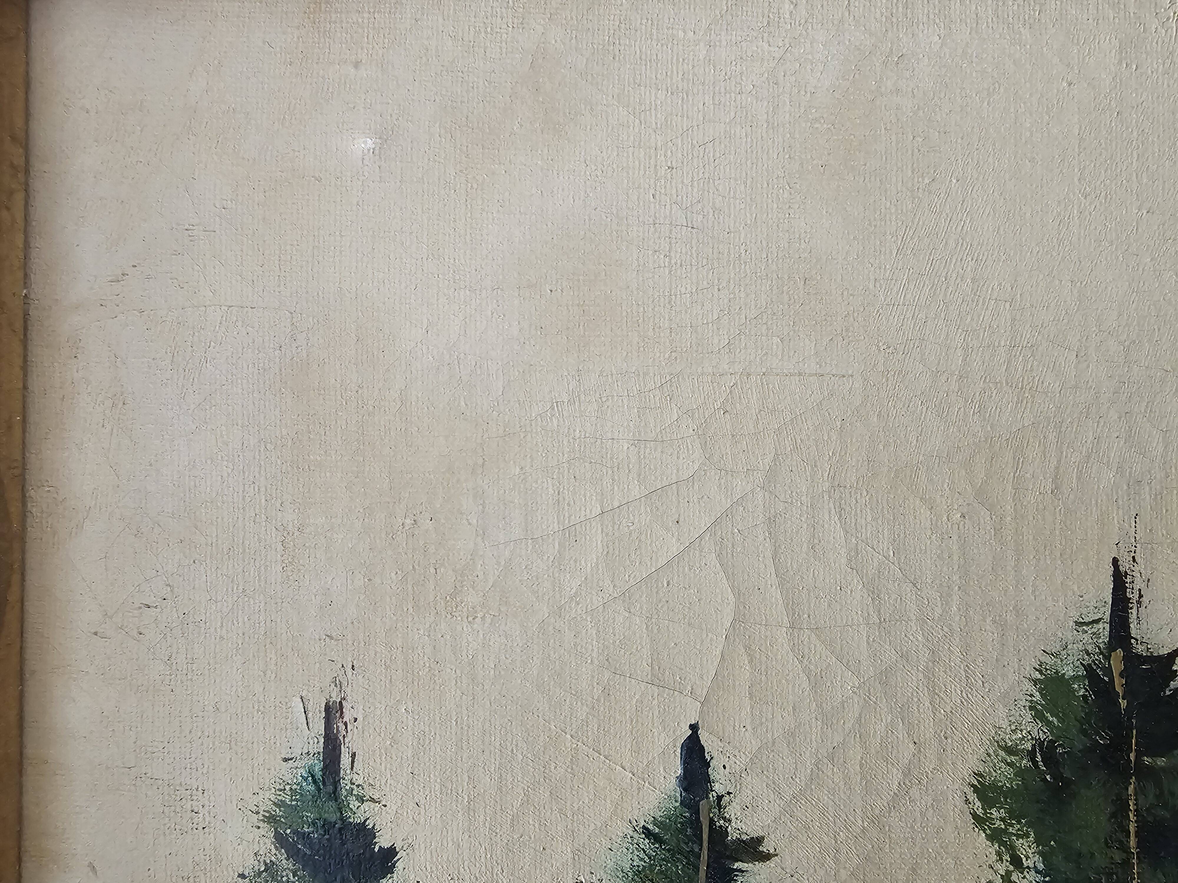 Oil Painting on Canvas Mountain Landscape Forest Vosges Signed S Capello