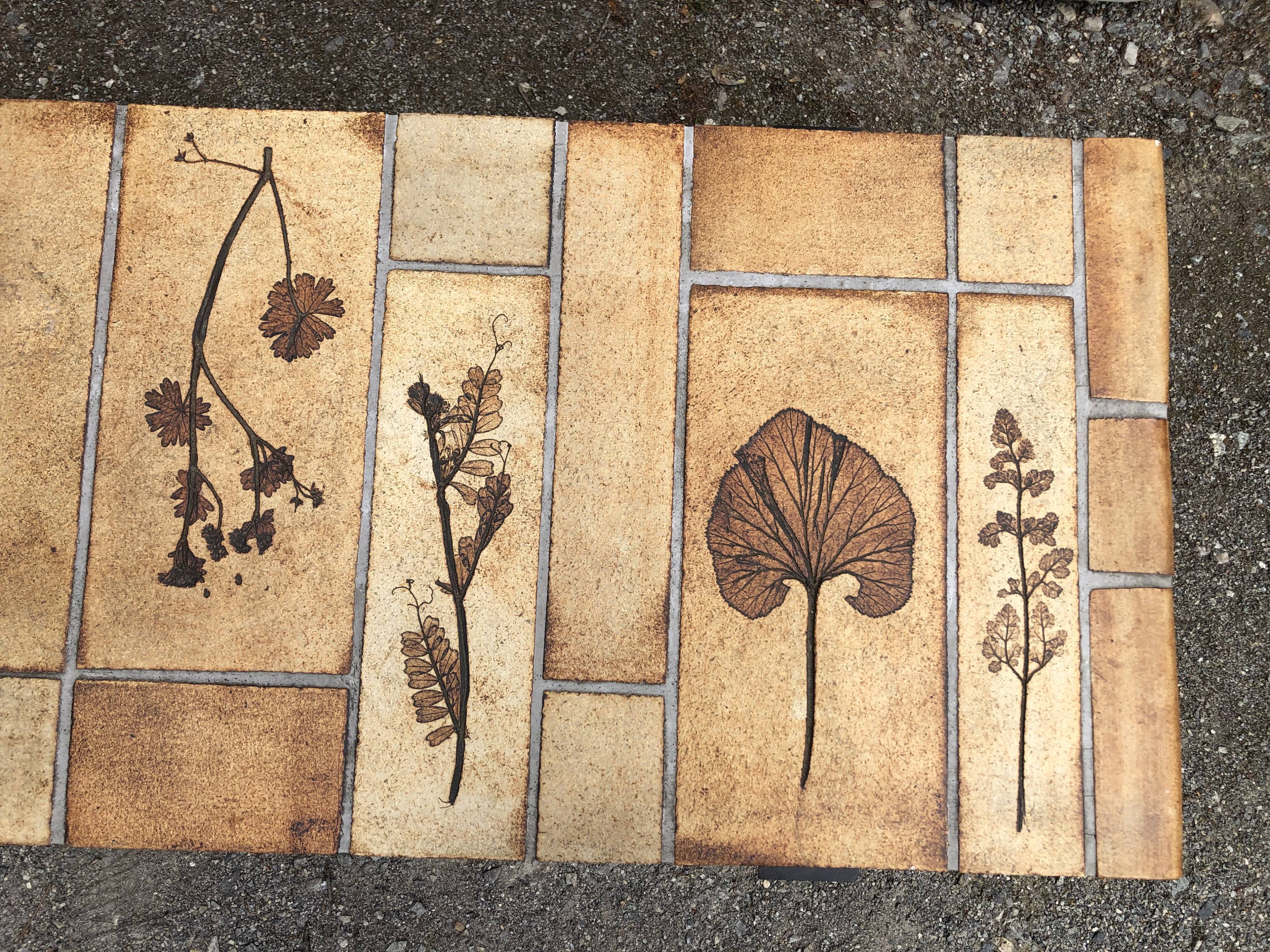 Vintage ceramic coffee table with herbarium decorations by Roger Capron, solid beech base.