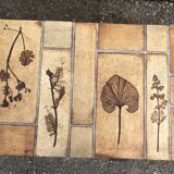 Vintage ceramic coffee table with herbarium decorations by Roger Capron, solid beech base.