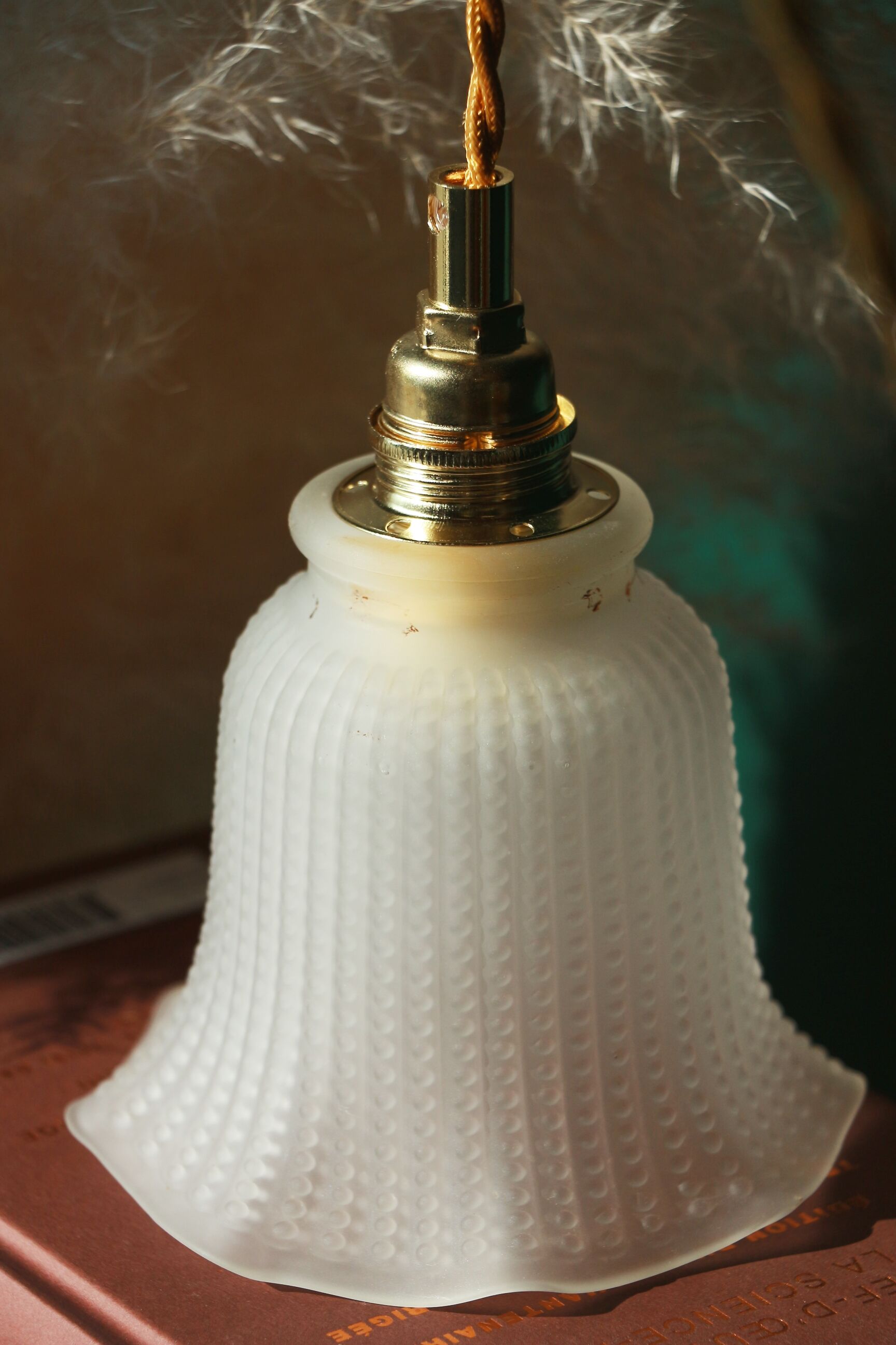 Walkman(s) - Dotted flowers