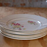 6 Vintage plates