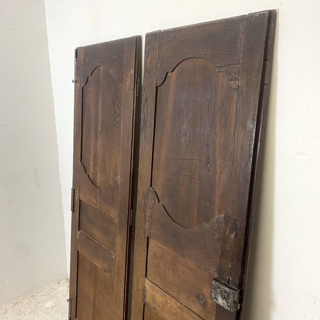 Pair of 19th century oak cabinet doors
