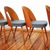 Set of five chairs, design. A. Suman, Tatra Nabytok, Czechoslovakia, 60s