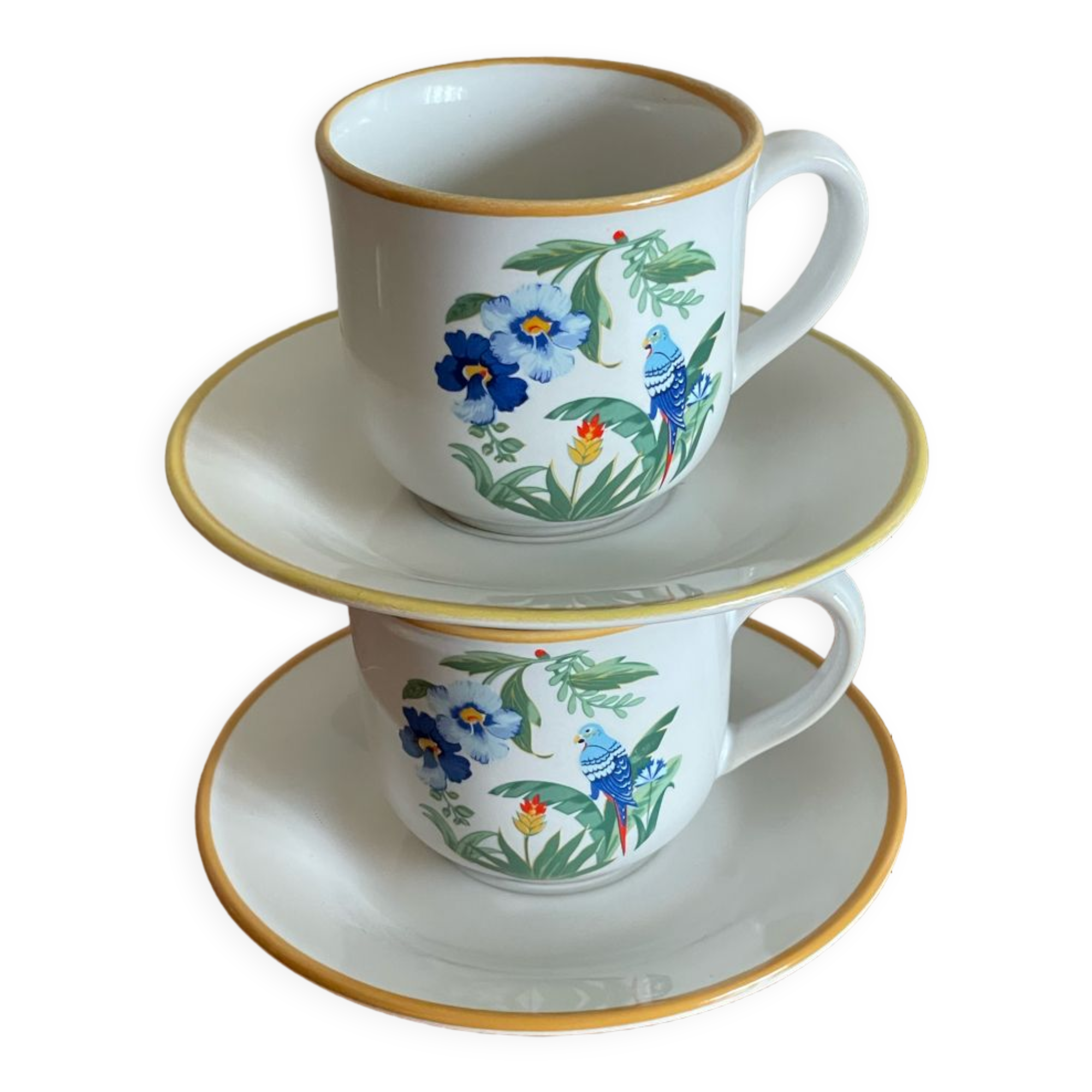 Ara Pier Import Cup Duo