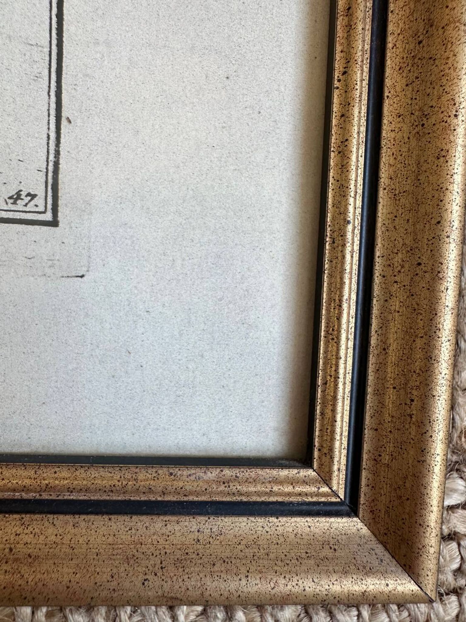 Ancienne lithographie Morubel , le flétan