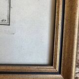 Old lithograph Morubel, the halibut