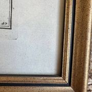 Ancienne lithographie Morubel , le flétan