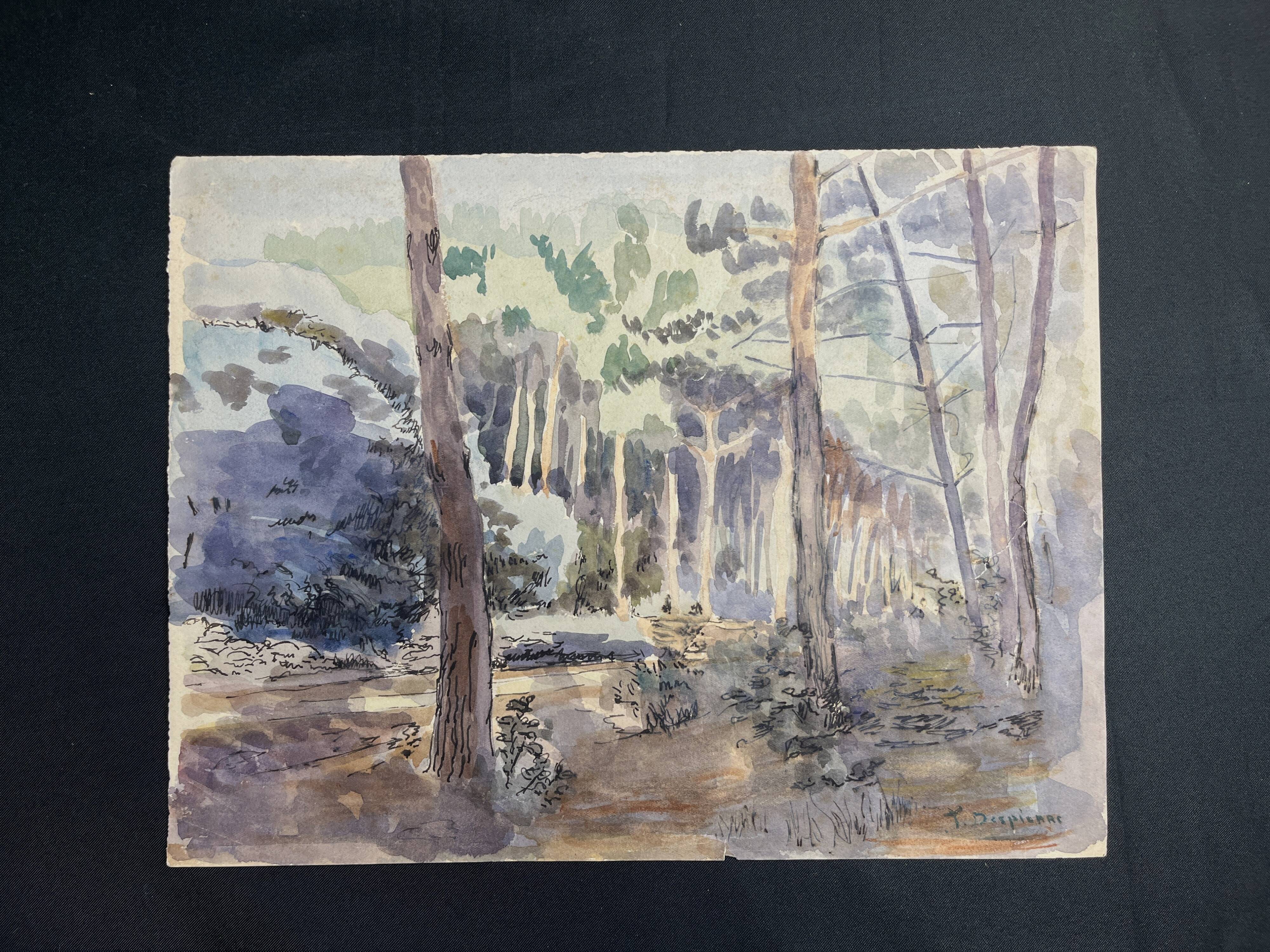 Despierre, Watercolor landscape undergrowth signed frame 20th century
