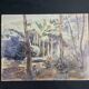 Despierre, Watercolor landscape undergrowth signed frame 20th century